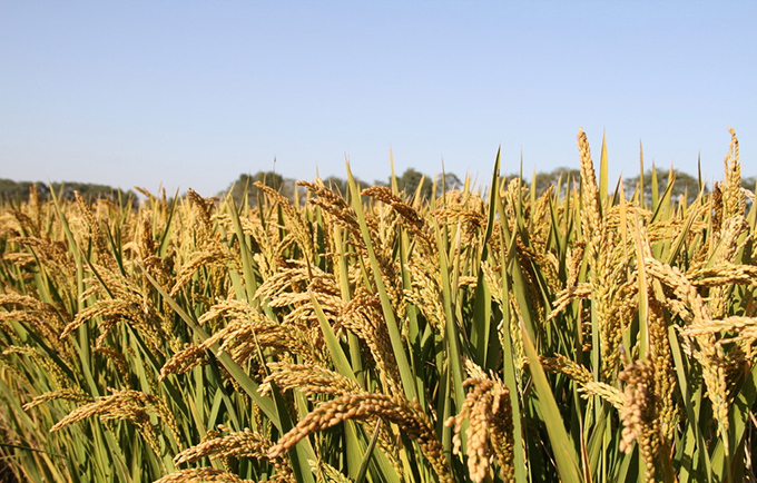 20174121640484668 20174121640484668