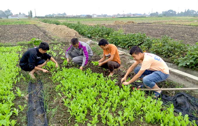 20174131119597556 20174131119597556